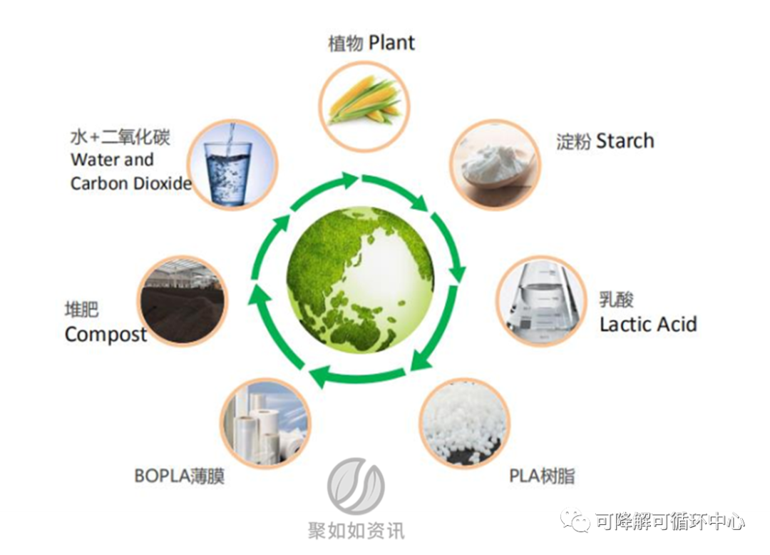 中仑新材ipo受理，拟建2万吨高端bopla薄膜