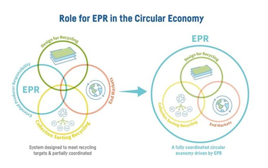 ceflex 首次公开软包装 epr 循环经济标准条件