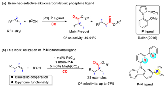 烯烃羰基化反应研究获进展